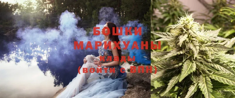 продажа наркотиков  Аша  Каннабис SATIVA & INDICA 